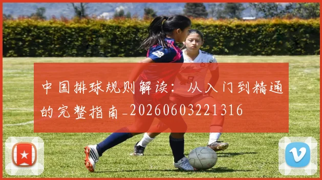 中国排球规则解读：从入门到精通的完整指南_20260603221316
