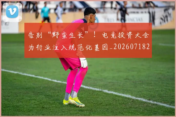 告别“野蛮生长”！电竞投资大会为行业注入规范化基因_20260718205803