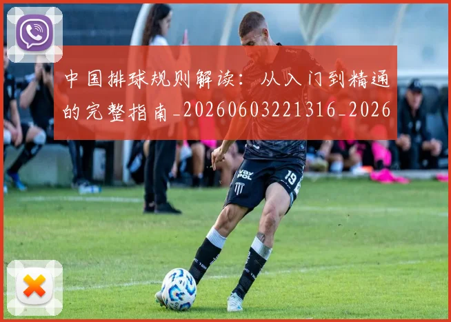 中国排球规则解读：从入门到精通的完整指南_20260603221316_20260703202834_20260717234535